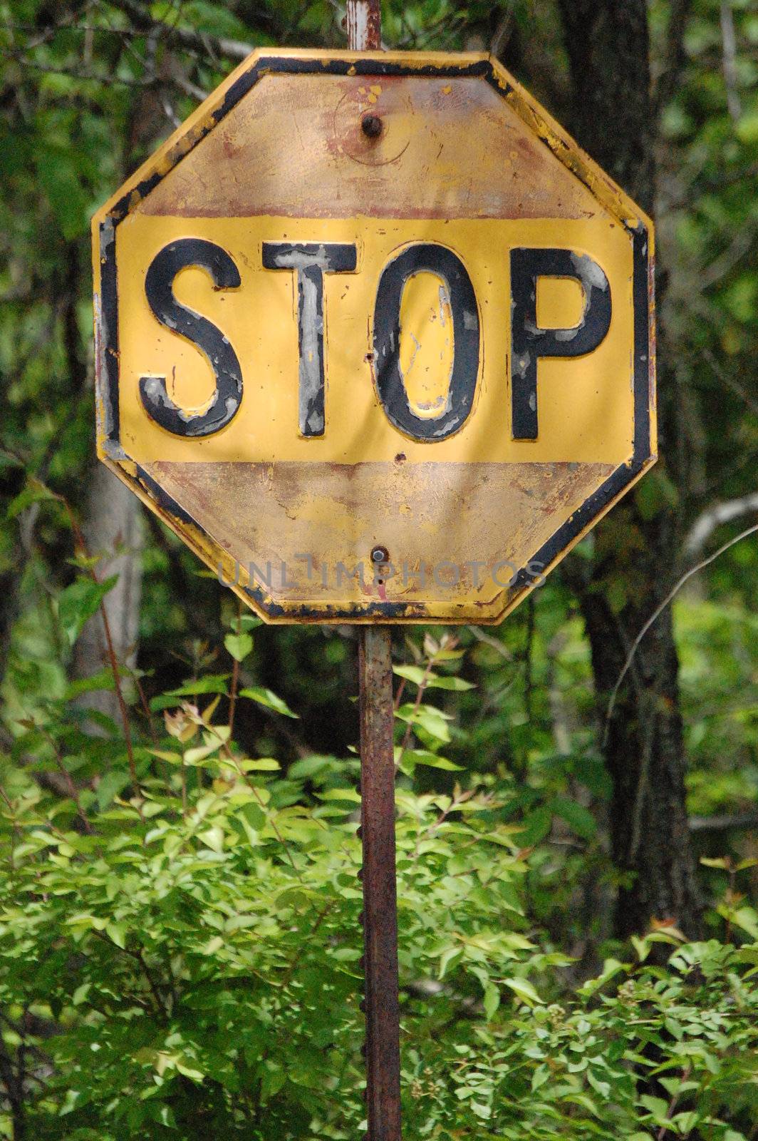 Yellow Stop Sign Up Close