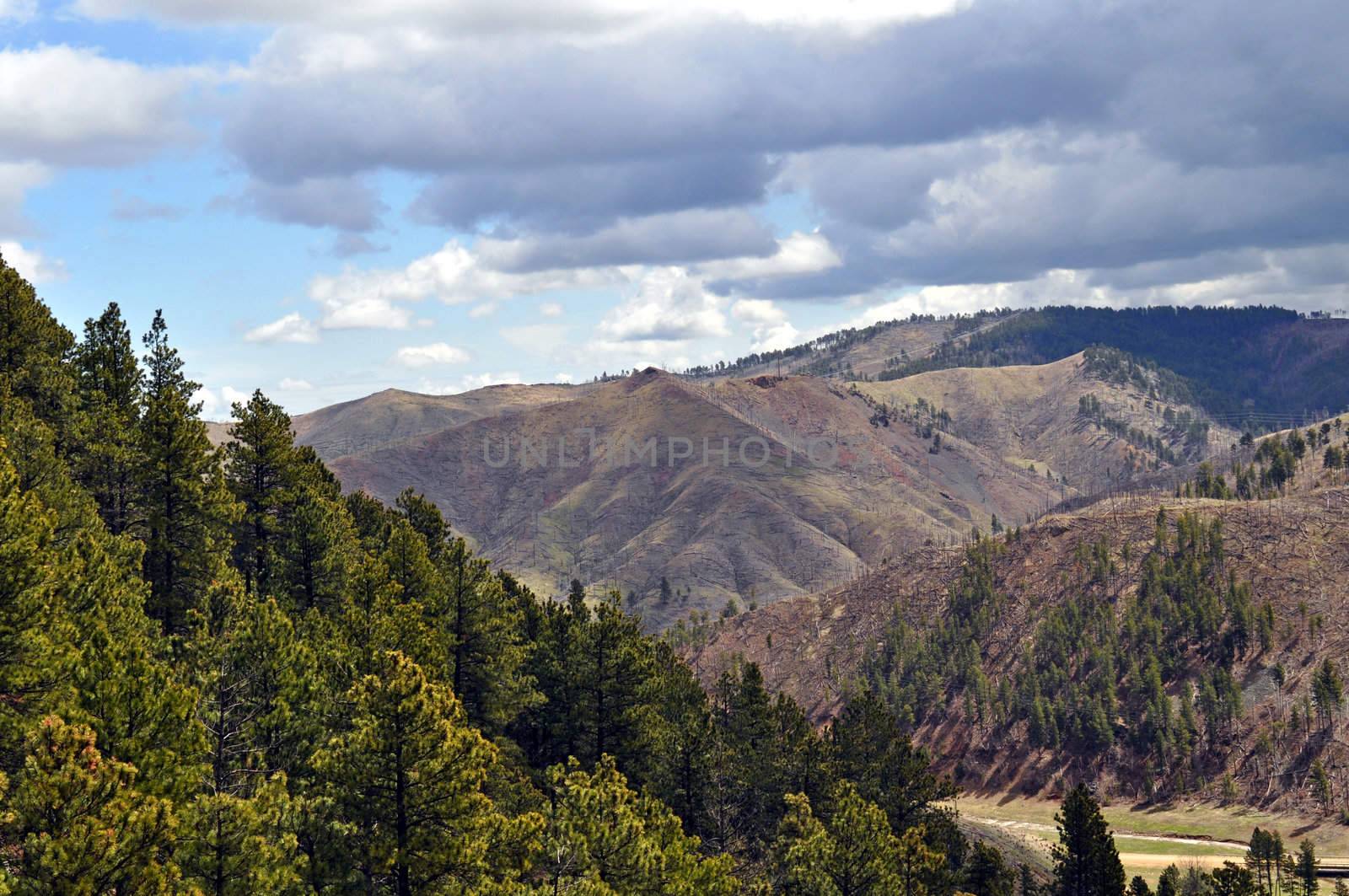 Black Hills South Dakota