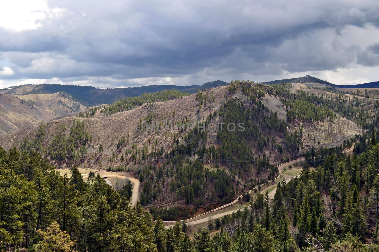 Black Hills South Dakota by RefocusPhoto