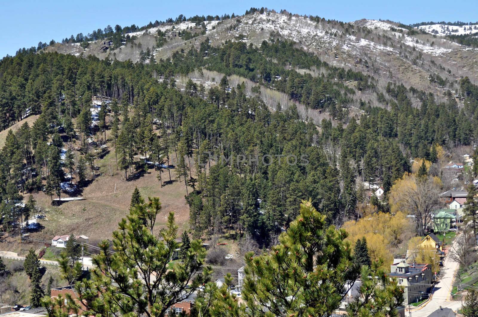 Black Hills South Dakota