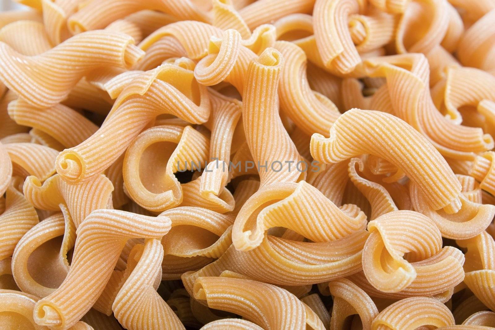 Closeup of dried gigli pasta filling entire frame.