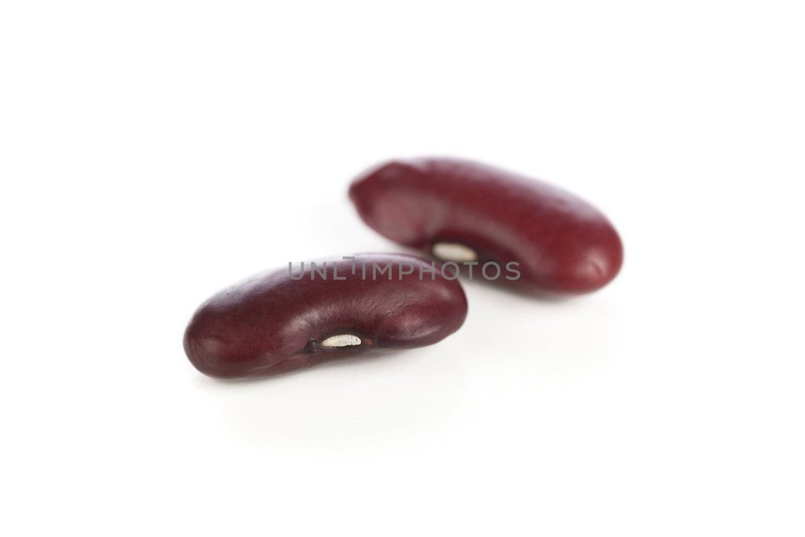 Two dried kidney beans isolated on white.