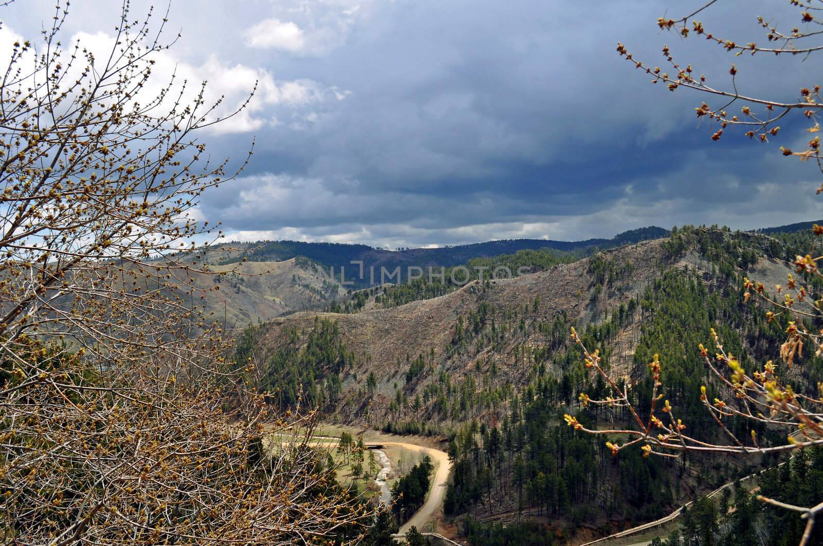 Black Hills South Dakota by RefocusPhoto