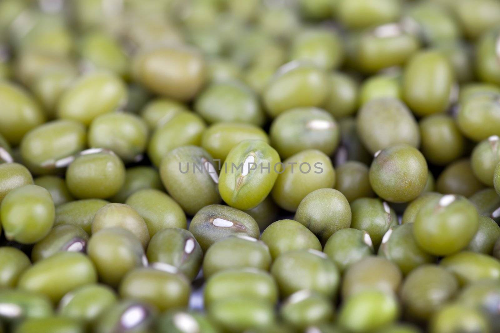 Closeup of dried mung beans.