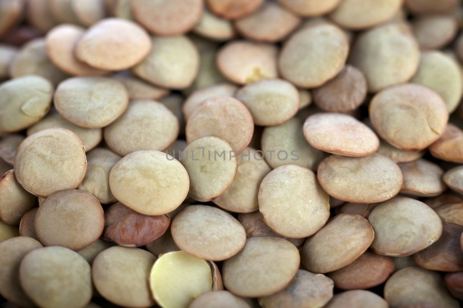 Closeup of dried lentils, great food background