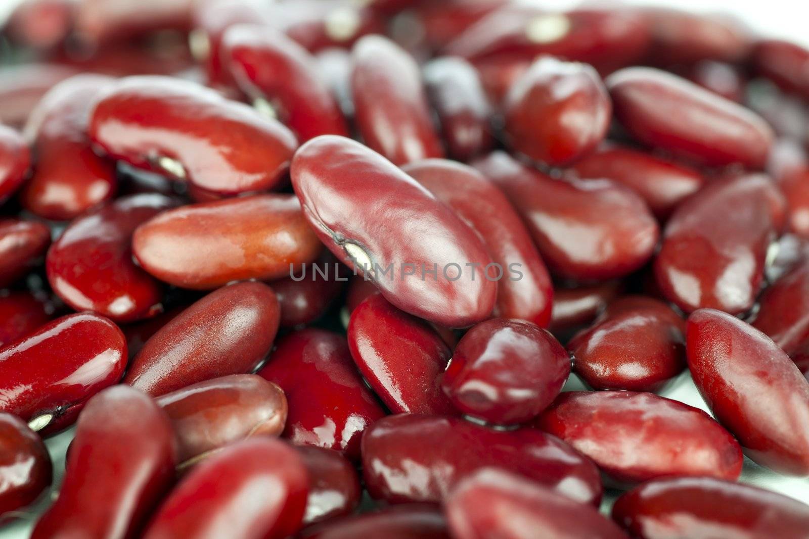 Closeup of group of raw kidney beans.
