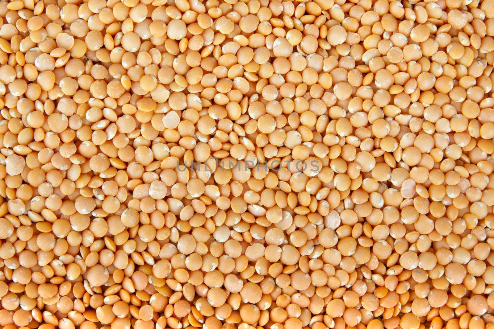 Red Lentils Textures by charlotteLake