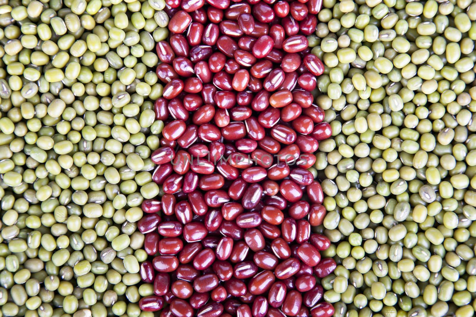 Dried mung and azuki beans in lines. Great food background or texture.