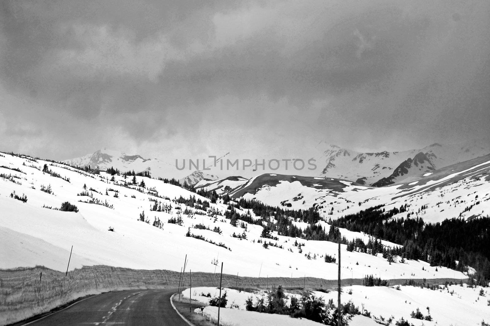 Colorado Mountains by RefocusPhoto