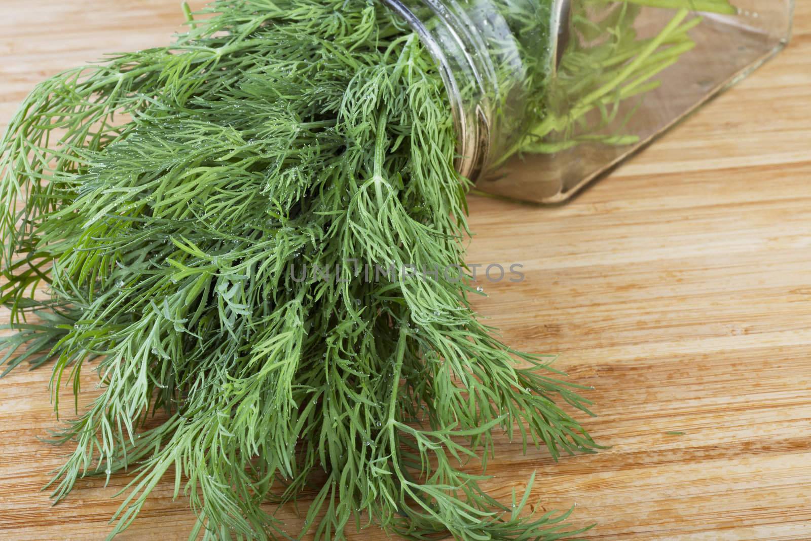 Fresh dill covered in water drops, on cutting board