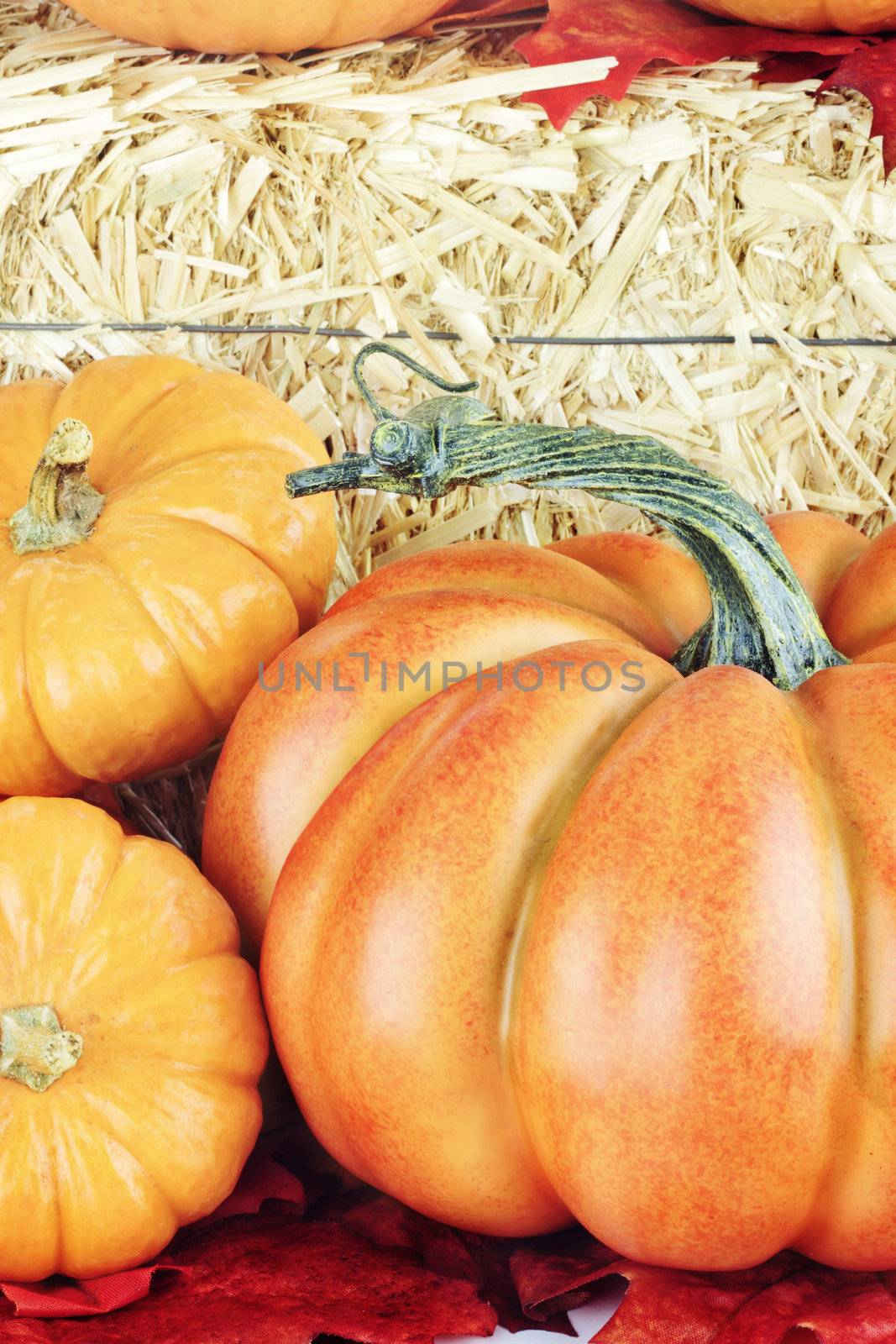 Macro of pumpkins around a bale of straw.