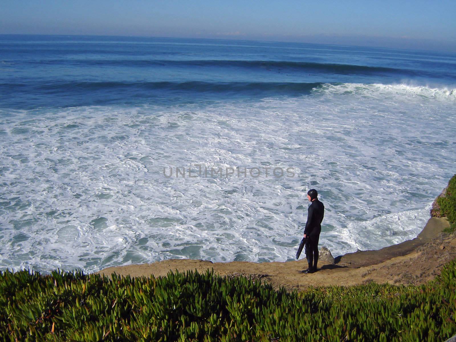 La Jolla Scuba Diver