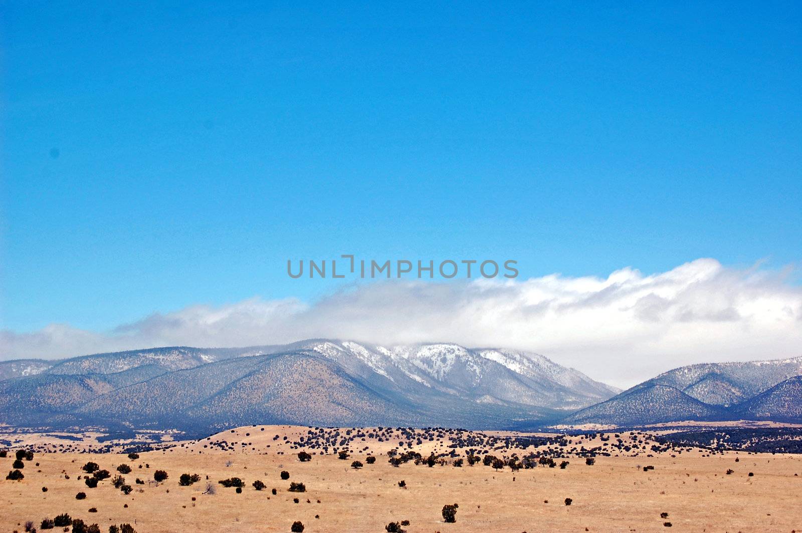 New Mexico Mountains by RefocusPhoto