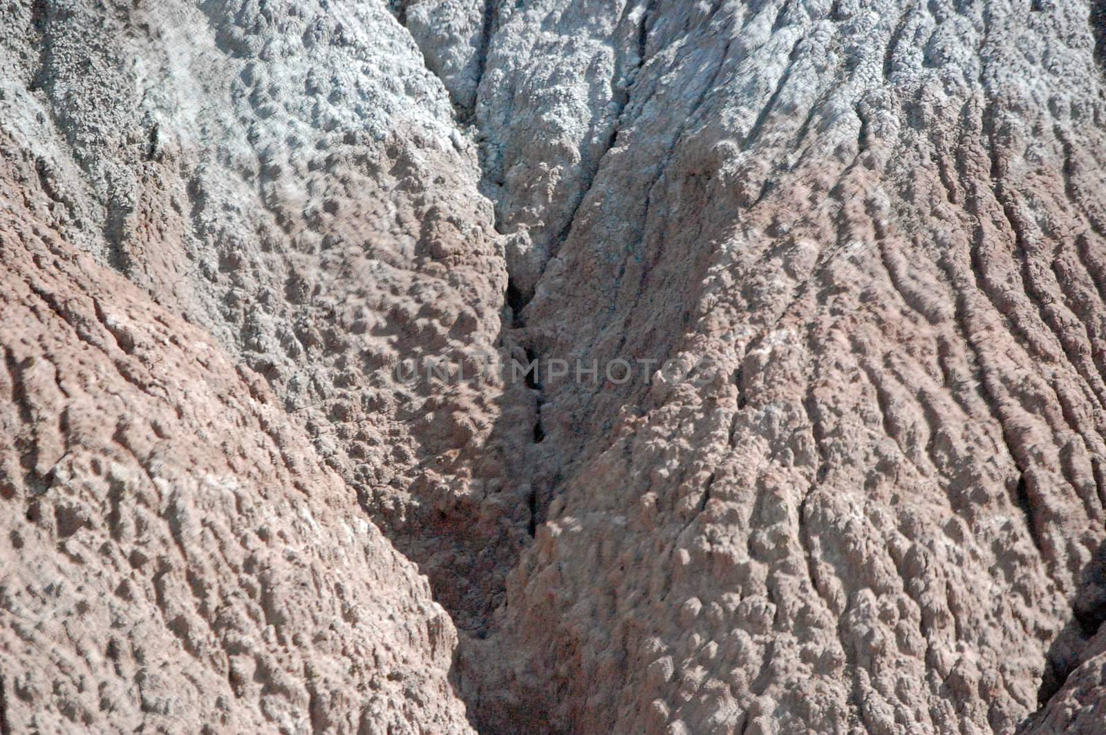 Petrified Forest