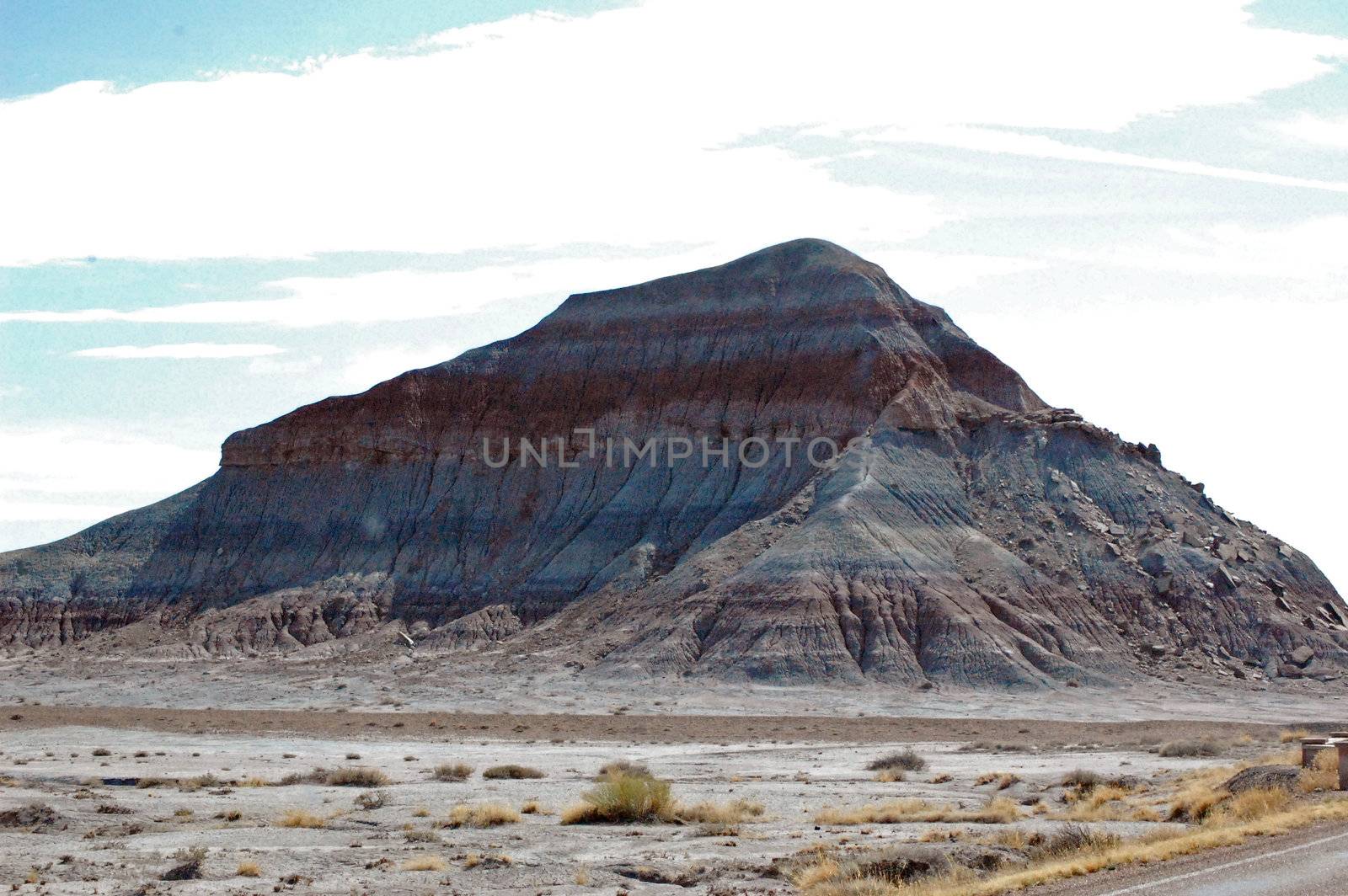 Petrified Forest