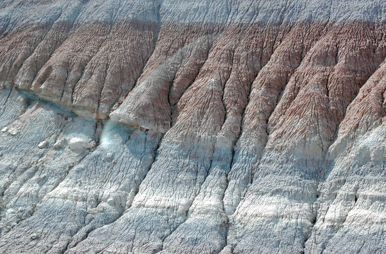 Petrified Forest