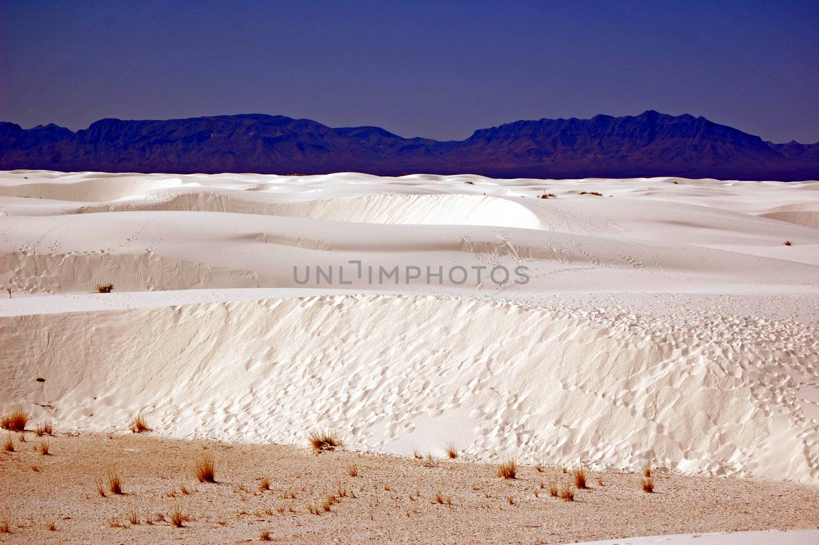 White Sands New Mexico by RefocusPhoto