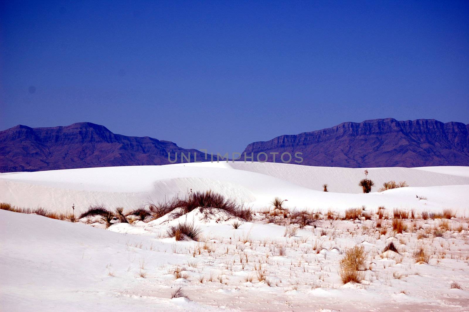 White Sands New Mexico by RefocusPhoto