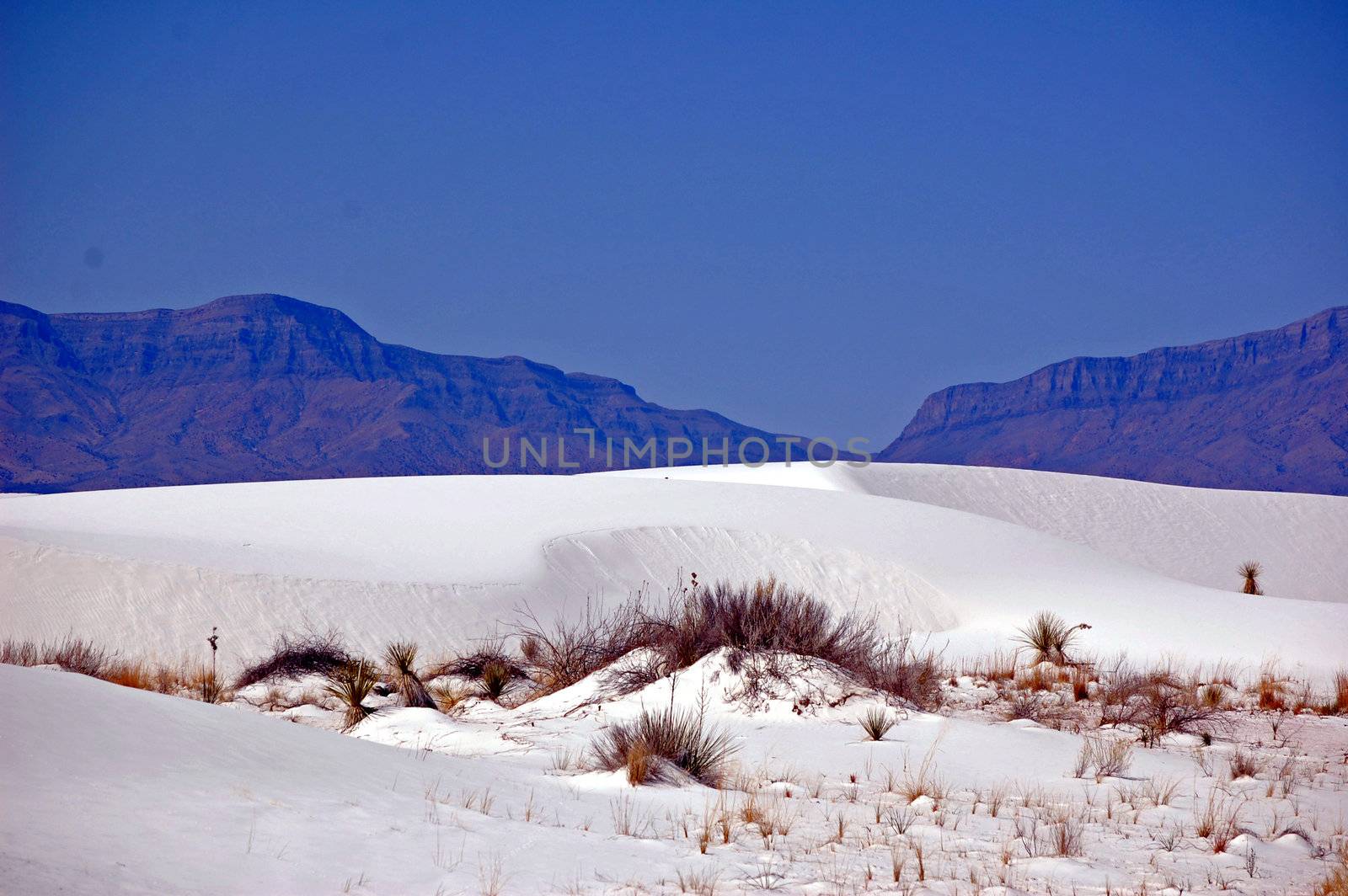 White Sands New Mexico