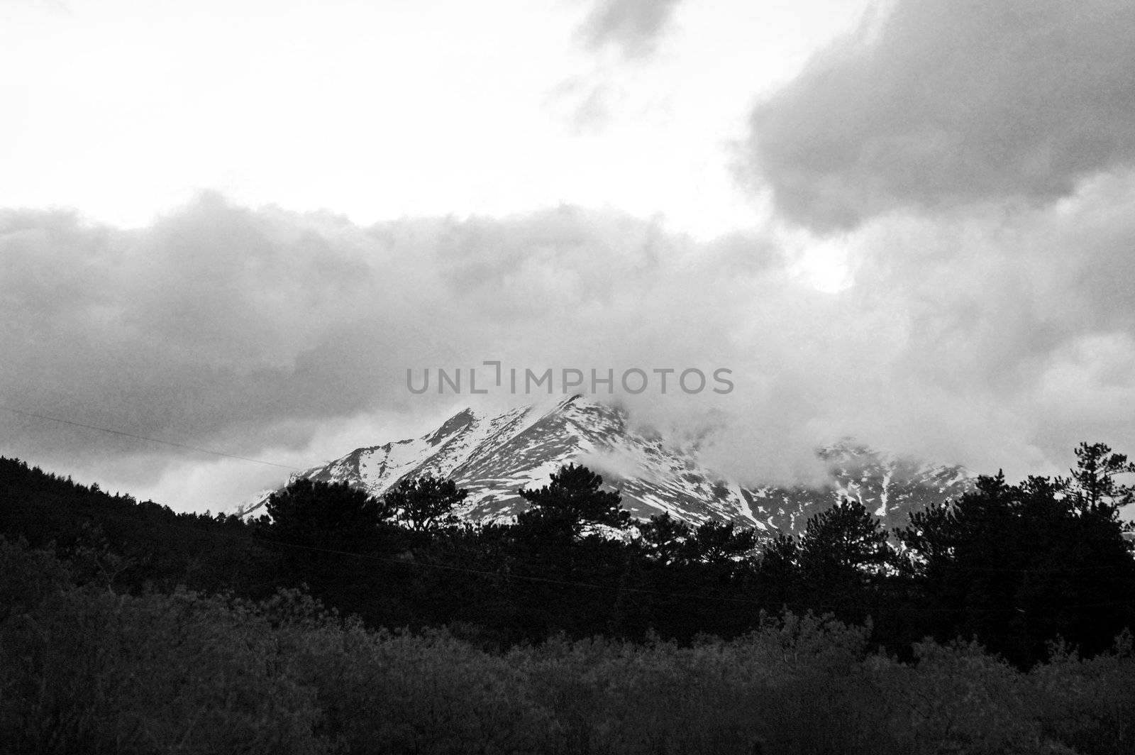 Colorado Mountains by RefocusPhoto