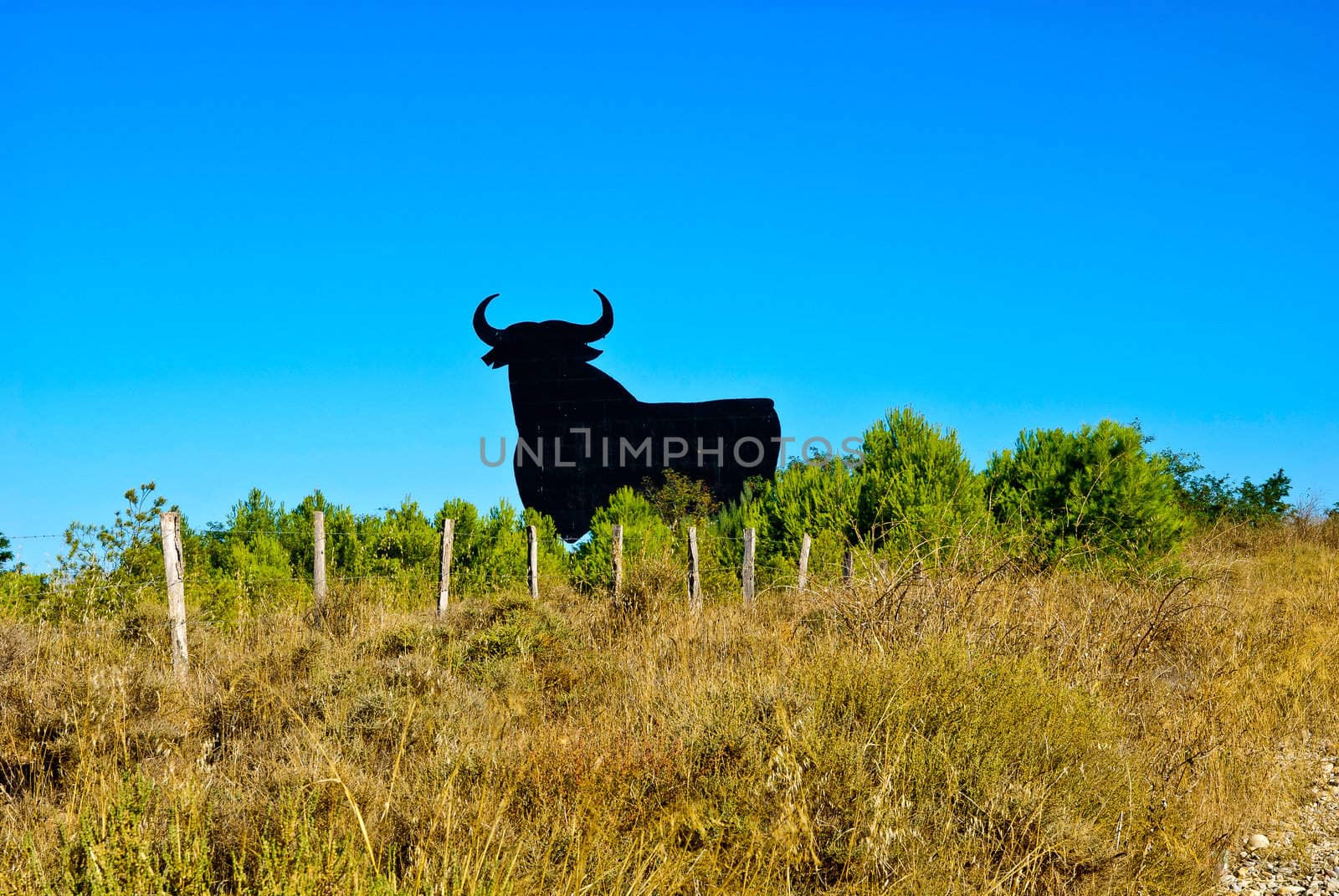 One of the famous "Osborne bulls" found all over Spain. Today a national symbol they have started advertising a brandy