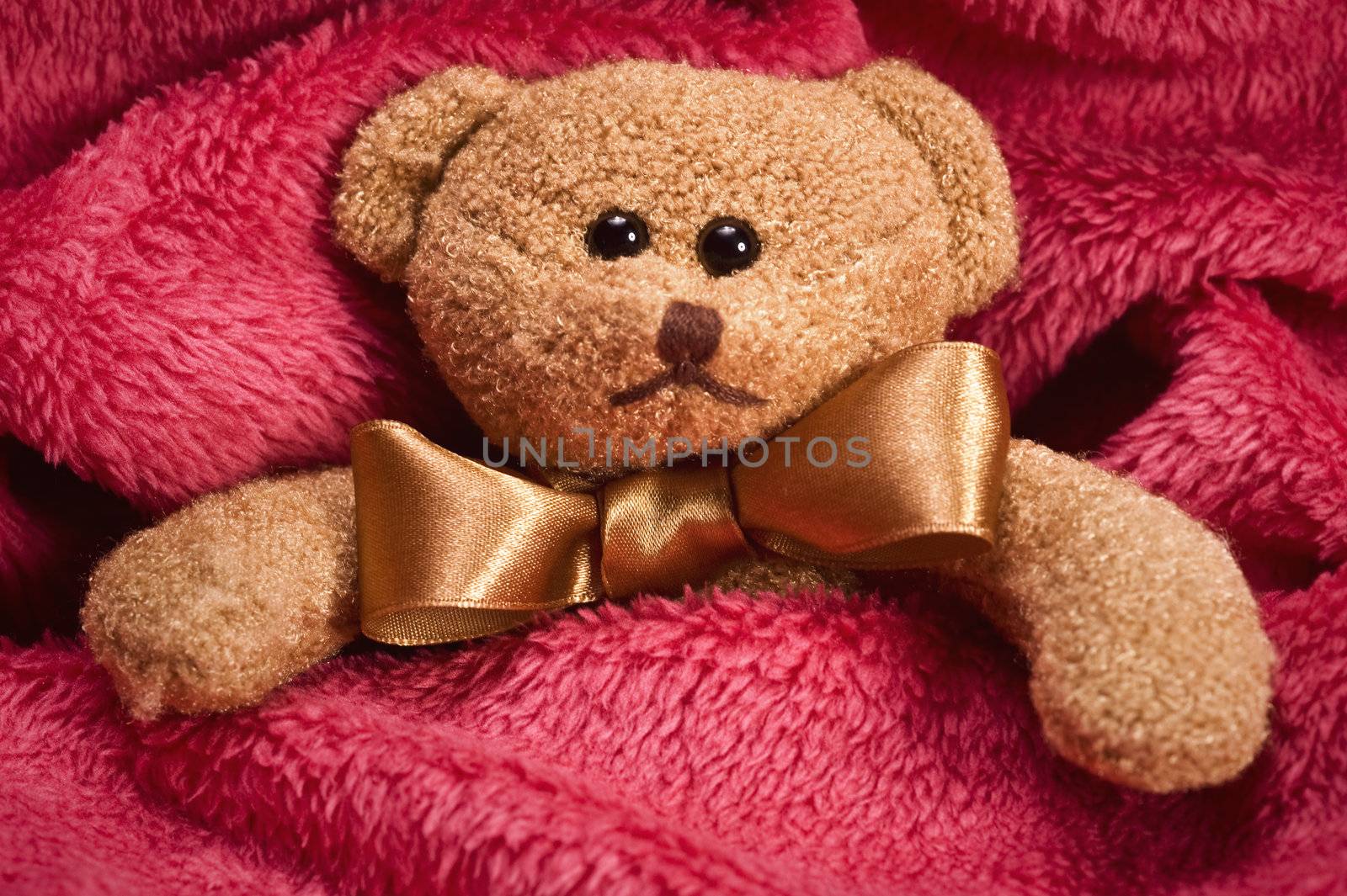 plush teddy bear with golden bow lying under blanket