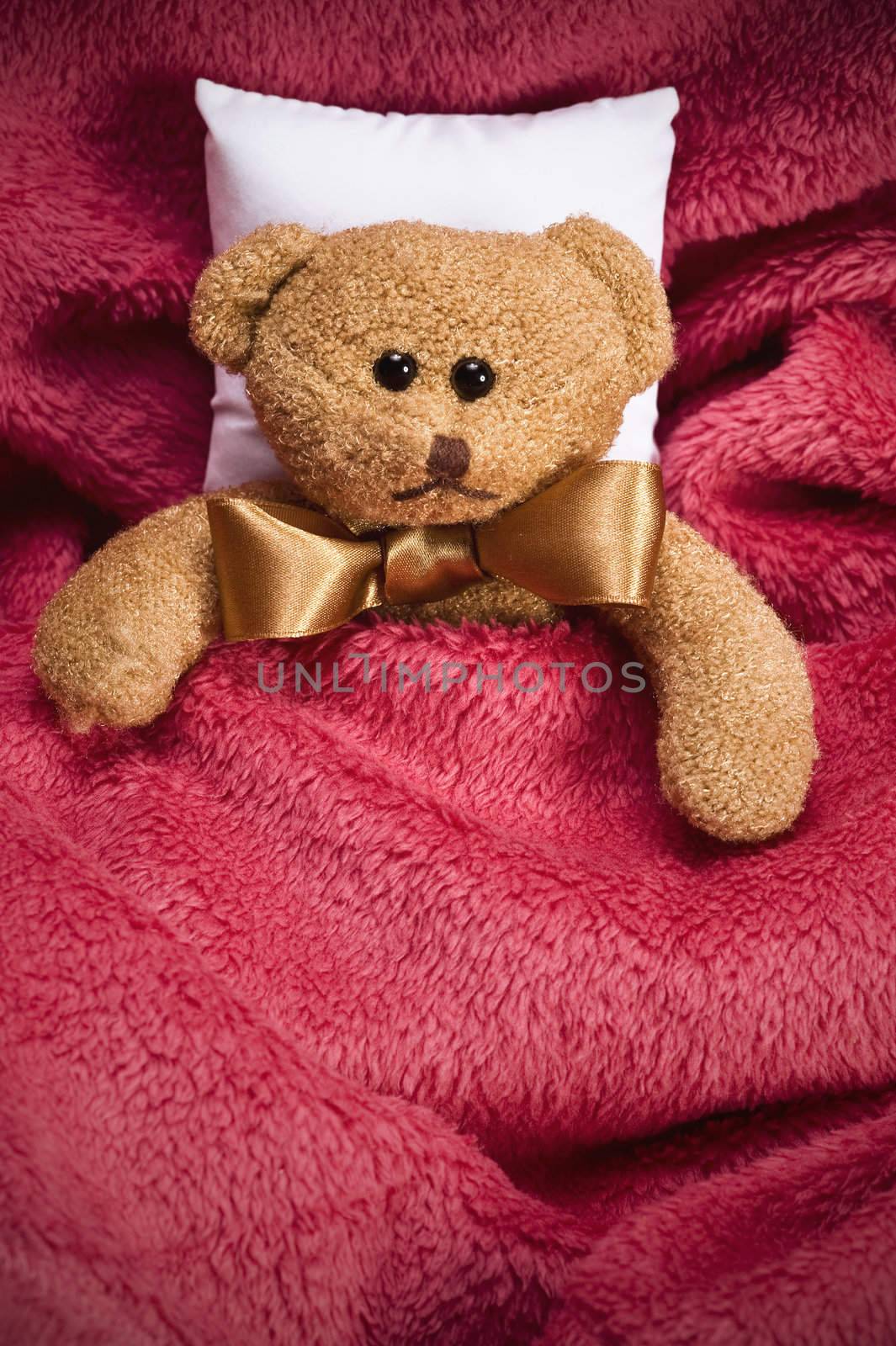 plush teddy bear with bow lying under cosy blanket