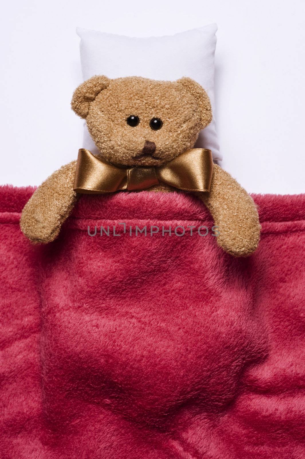 lying plush teddy bear covered with cosy blanket