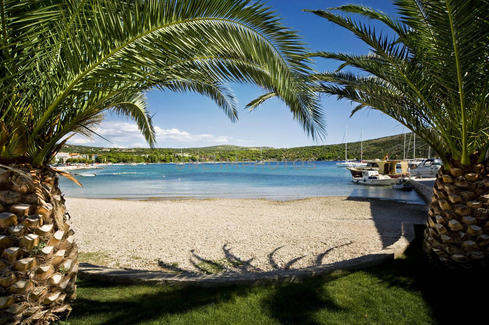 palm beach by tiptoee