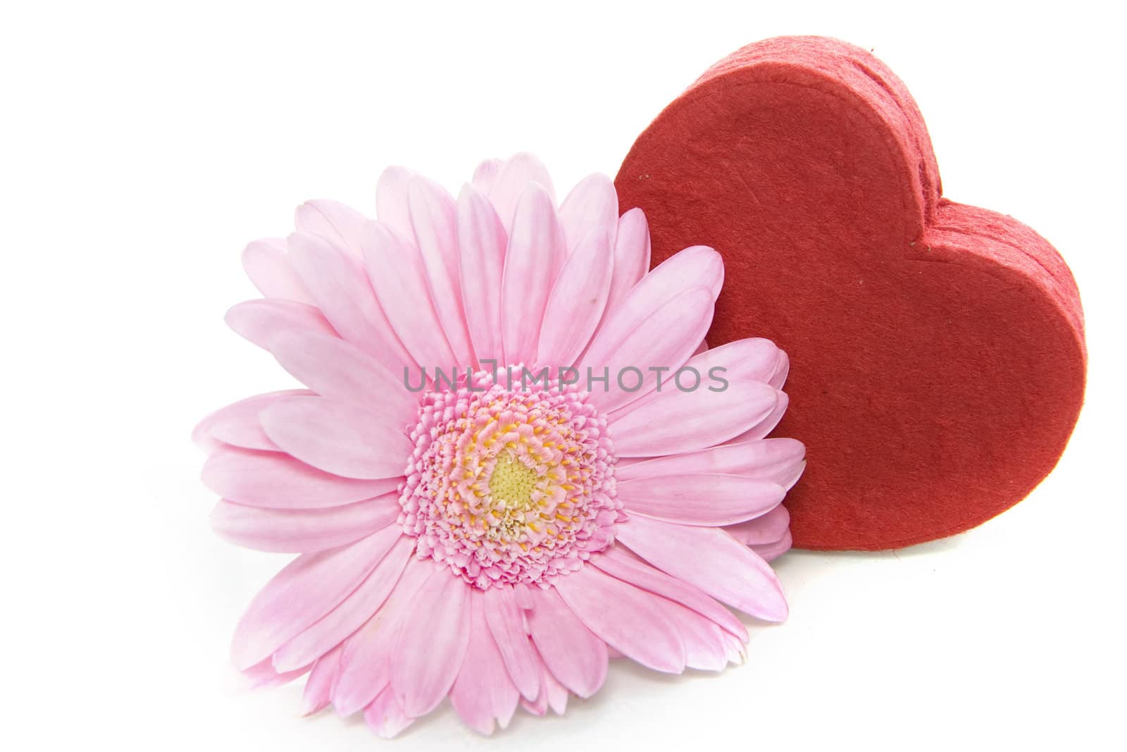 a red heart box with a pink flower on a white background