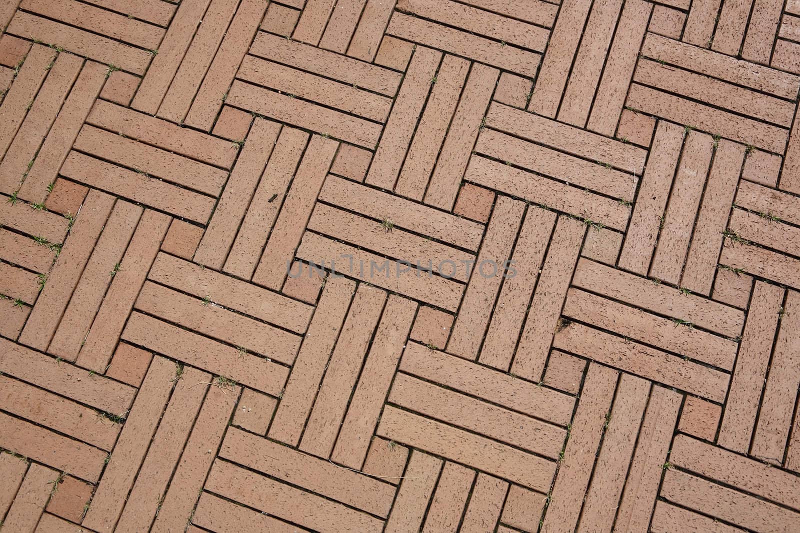 Brick pavement in city