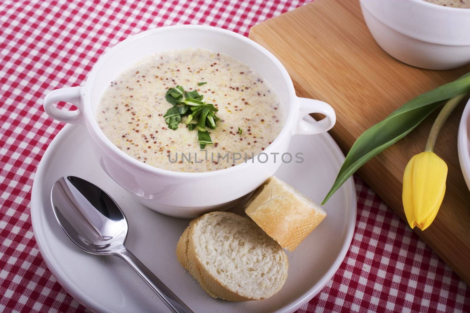 Traditional Dutch mustard soup with yellow tulip.  