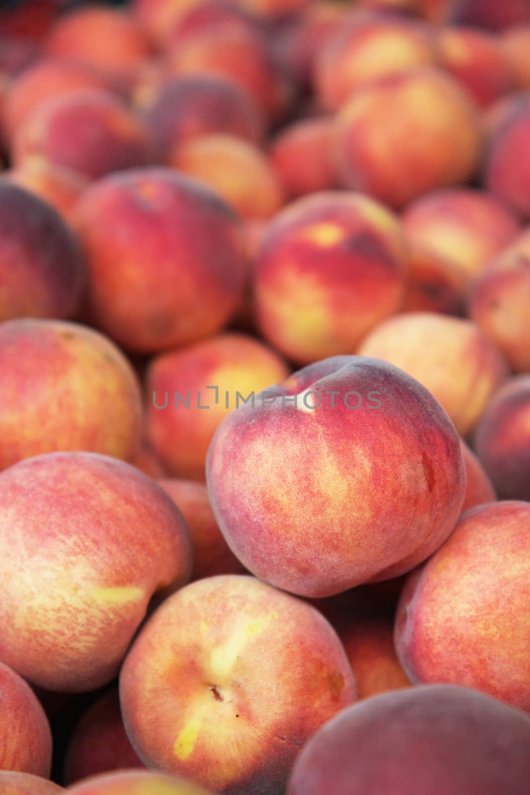 Single peach on top of a pile of soft focus fruit
