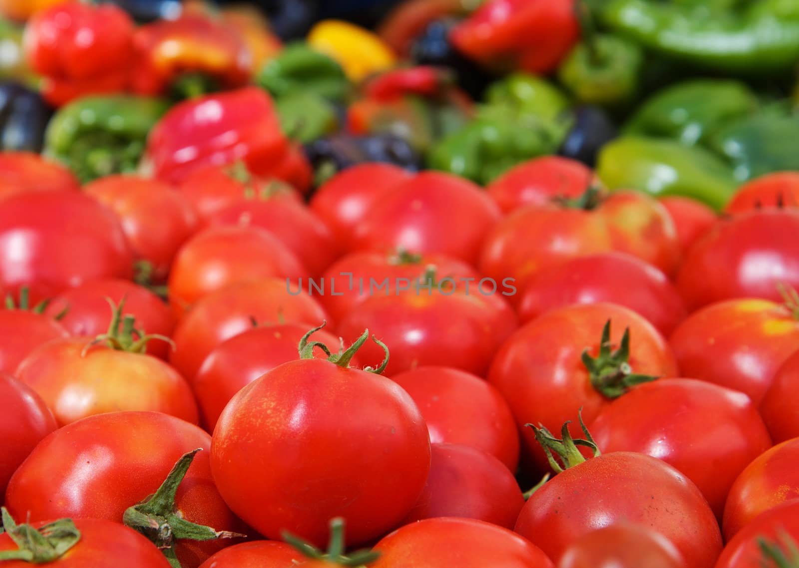 Pile of red tomatoes and various colored peppers