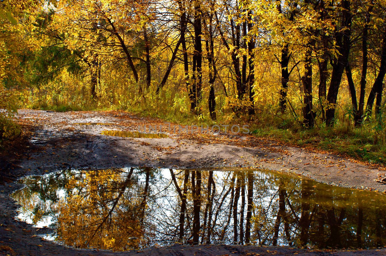 middle of autumn, Indian summer in the south of Western Siberia