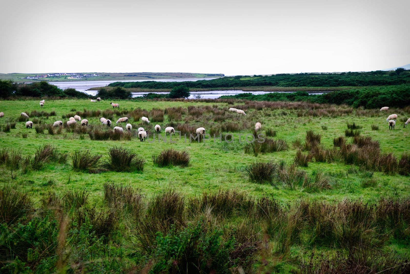 beautiful landscape in Ireland