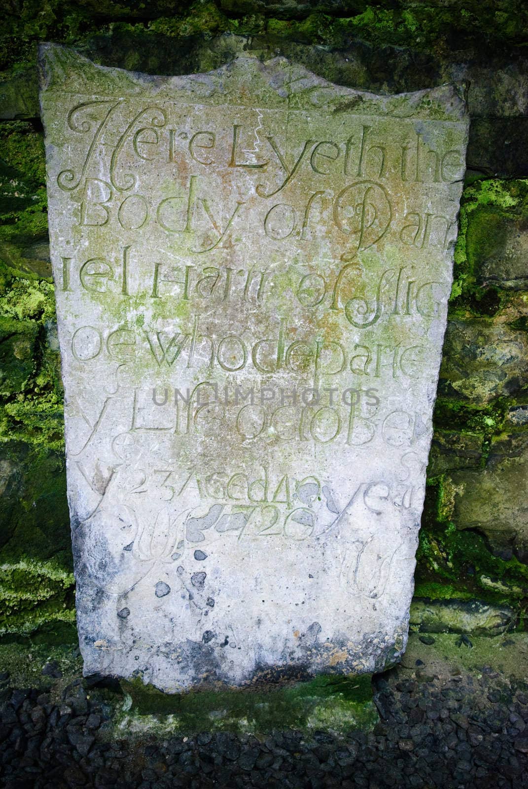 Detail in Sligo Abbey, Ireland