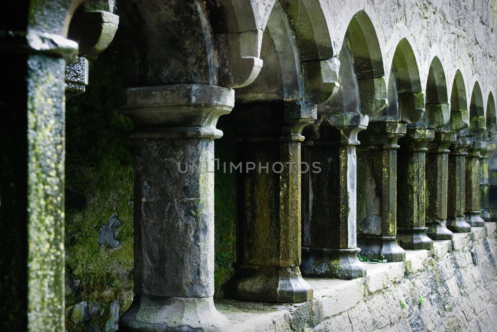 Sligo Abbey, Ireland by matthi