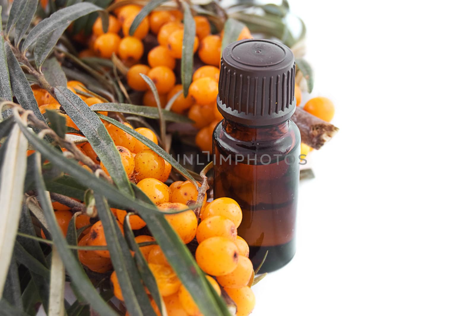 Sea buckthorn oil with berries on white by Angel_a