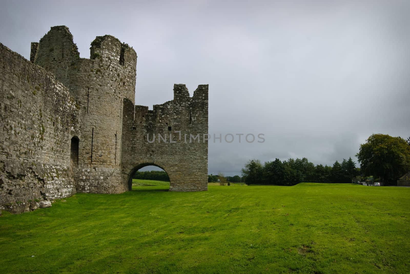 Trim Castle, Ireland by matthi