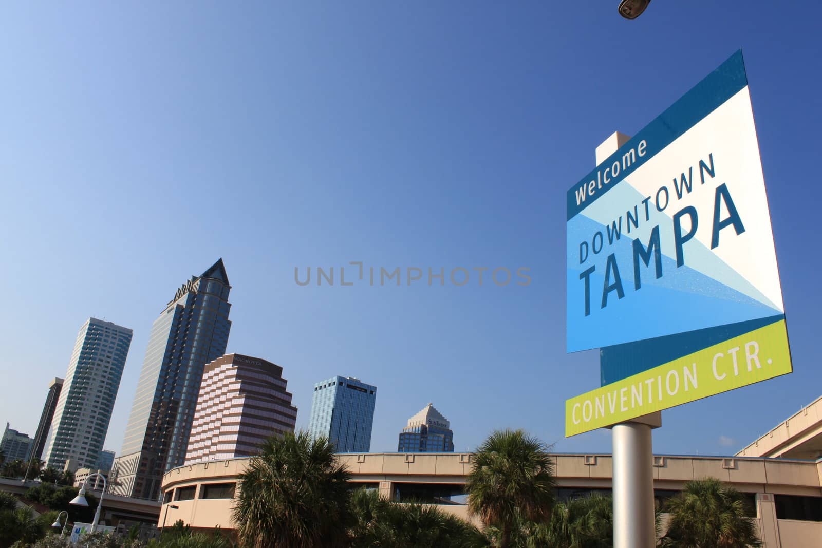 Tampa by ppawel