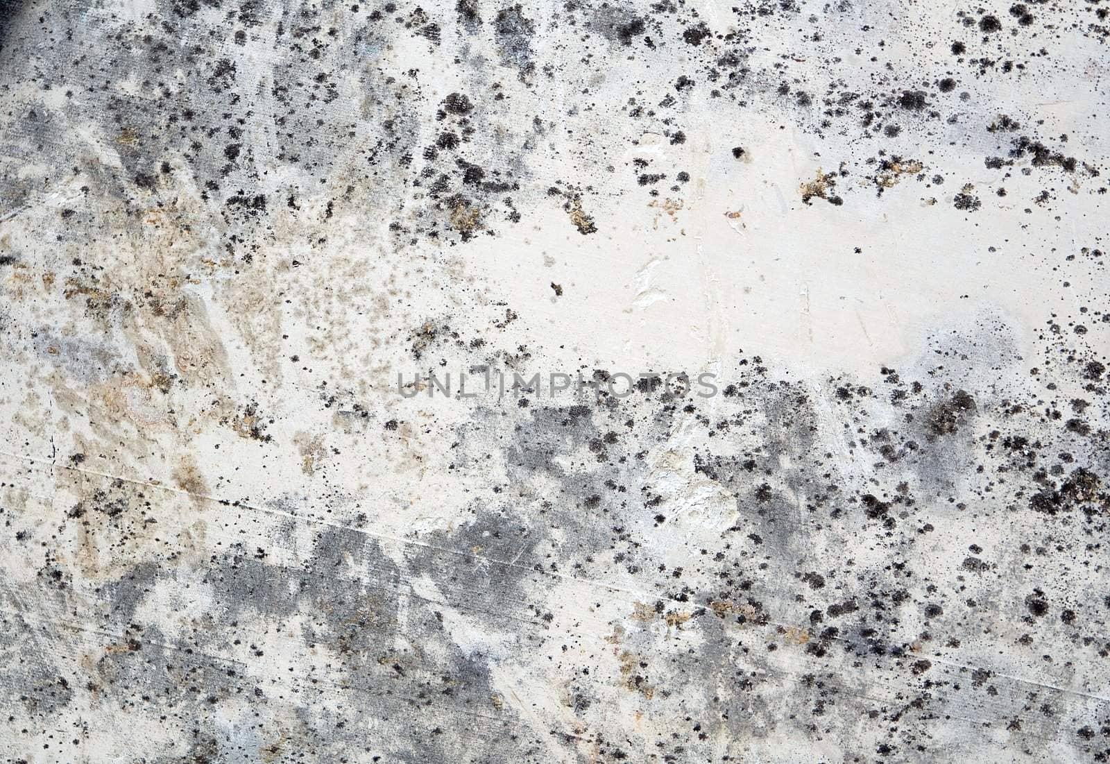 Grunge wall texture , close up photo