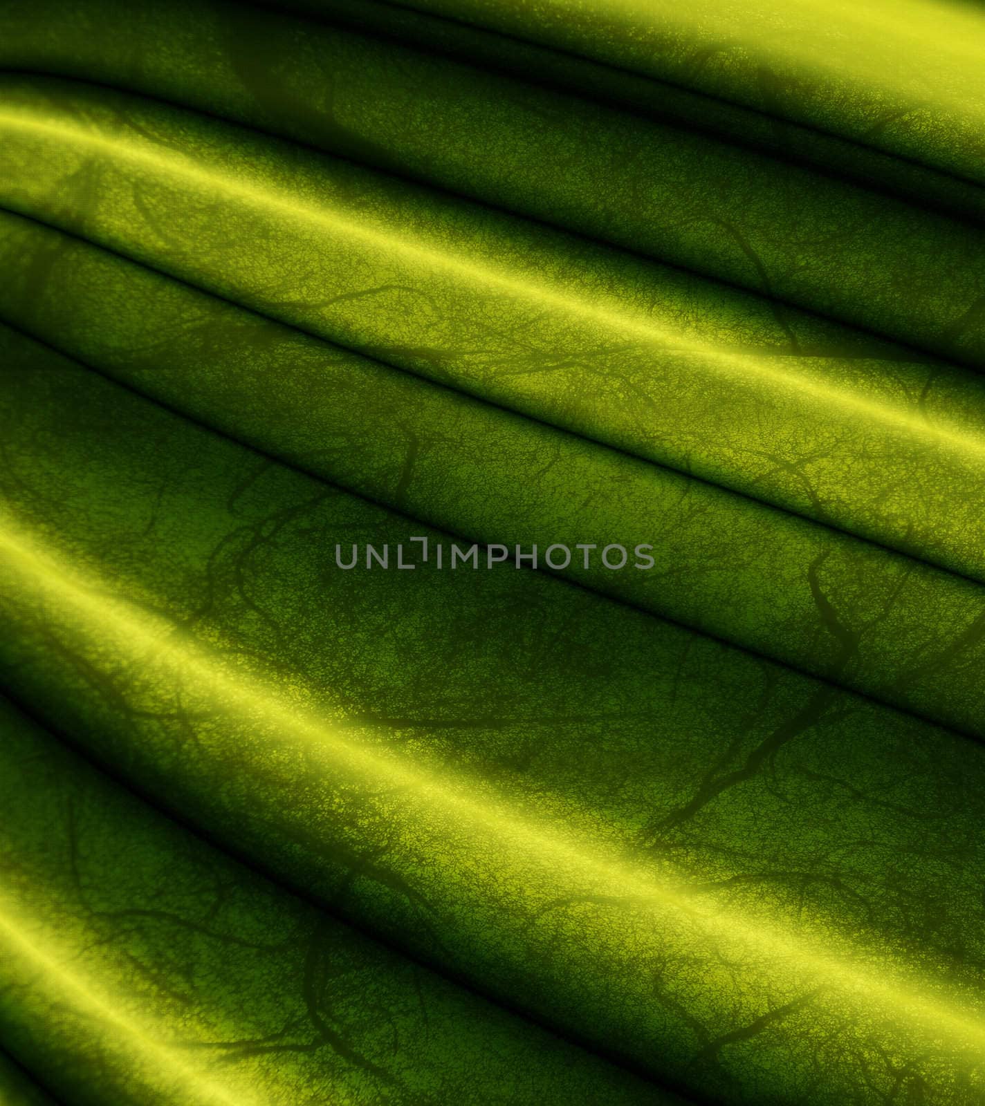 Abstract background by Lizard