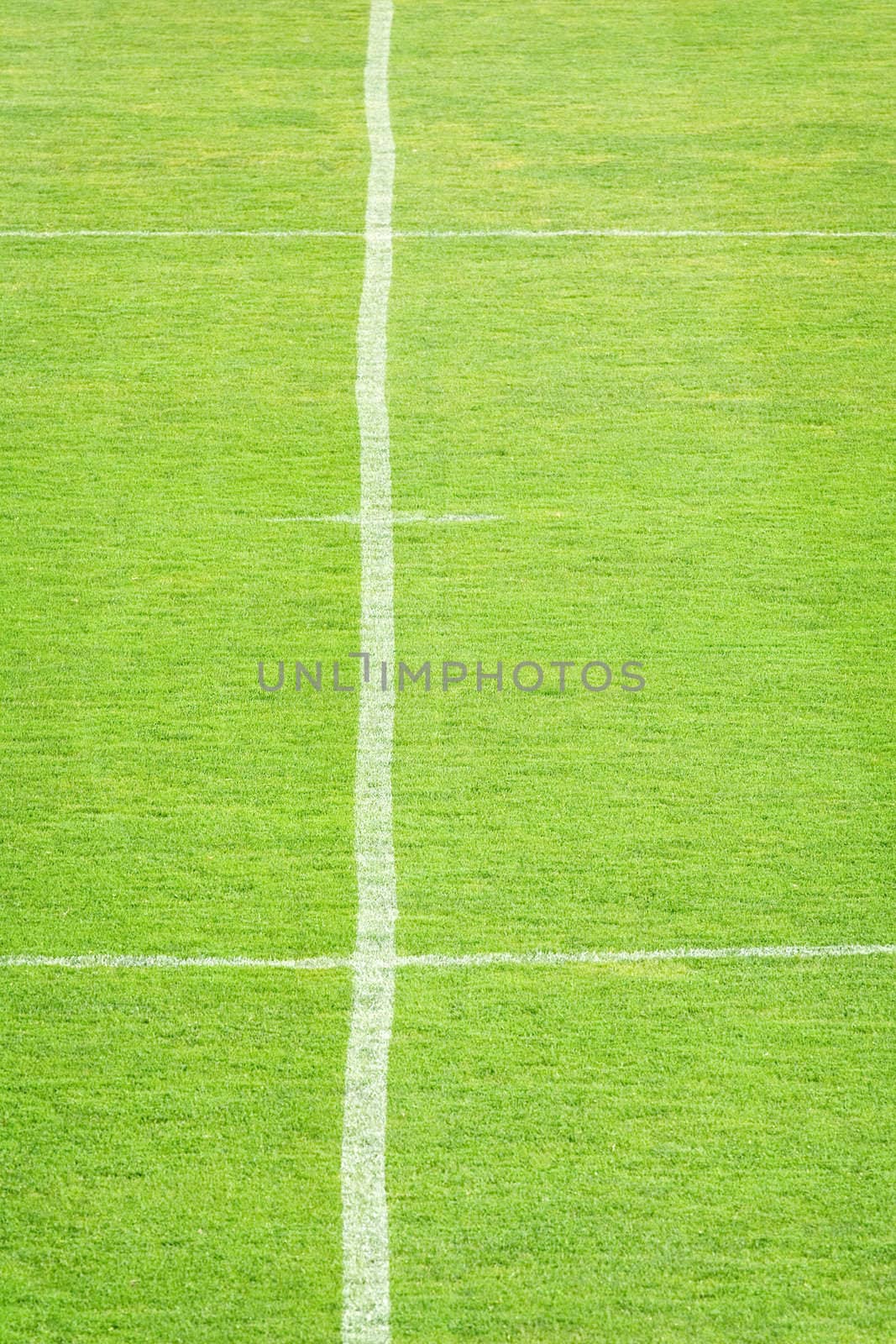 Football field by Lizard