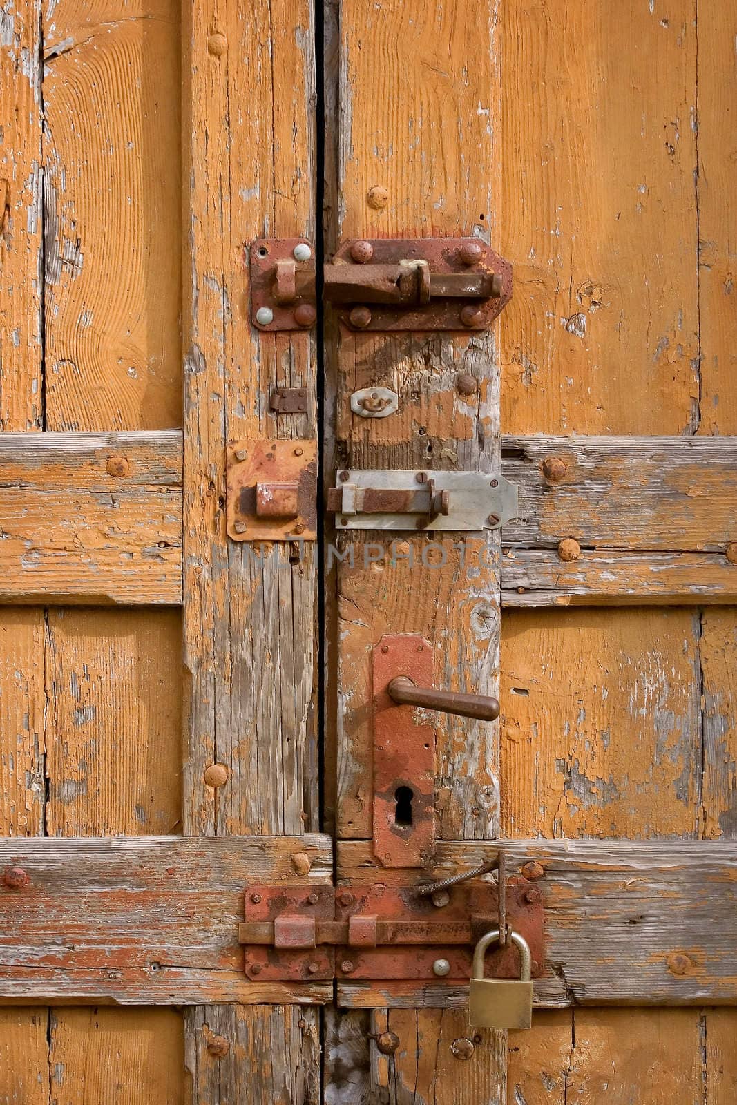 Old doors by Lizard