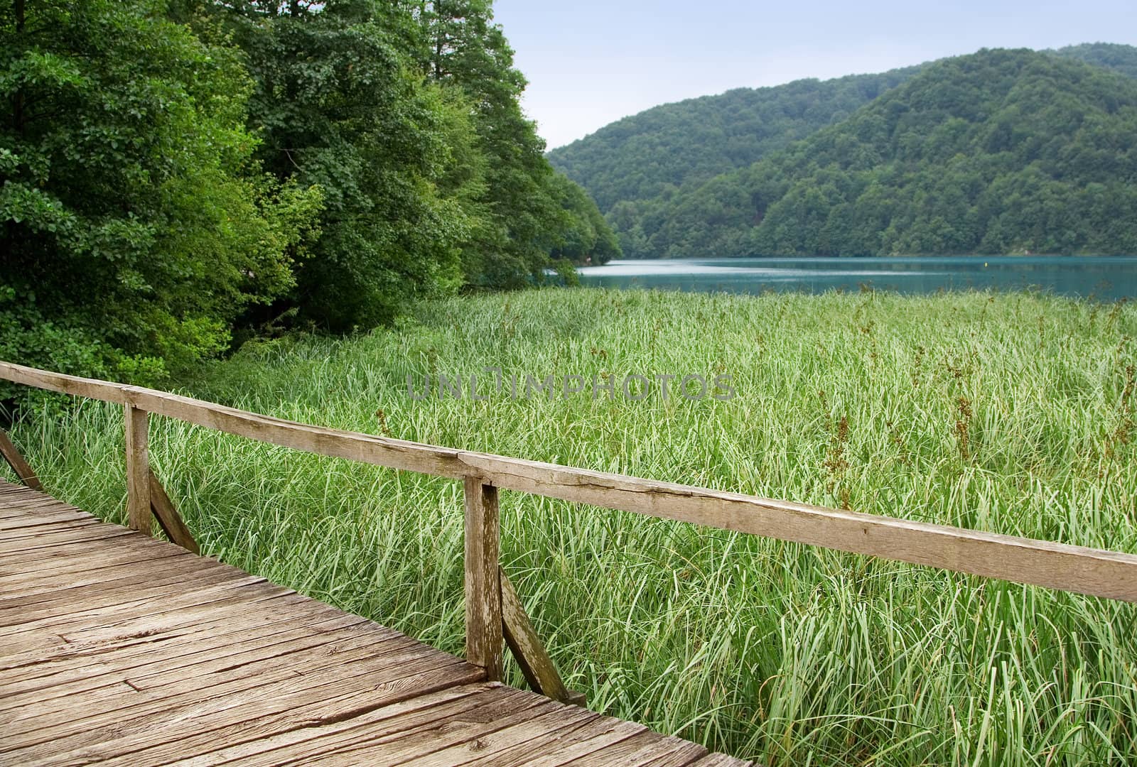 Wooden bridge and a beautiful green lake