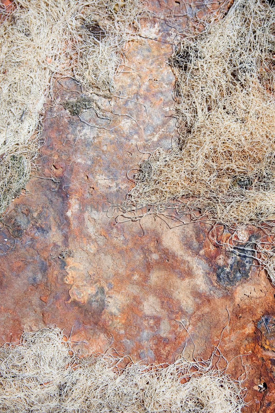 Abandoned fishing net on rusty metal surface. Nice grunge texture for your projects