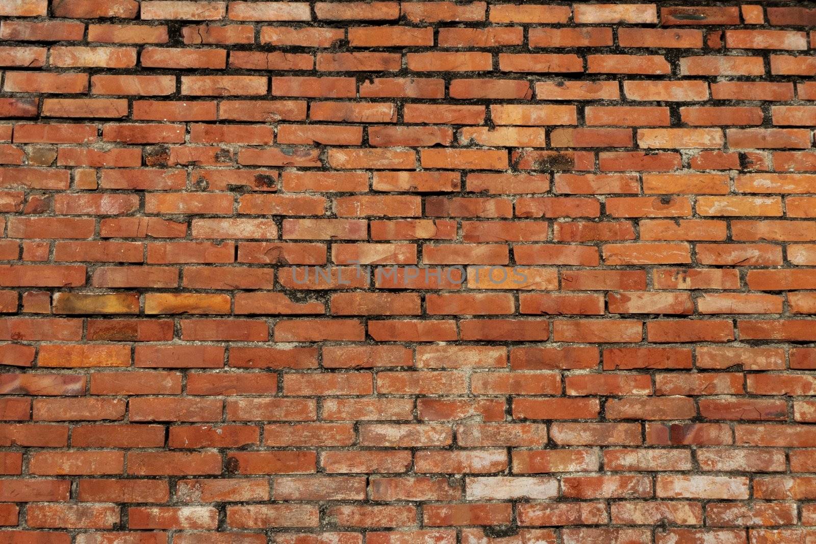 Brick Wall by hsin0407