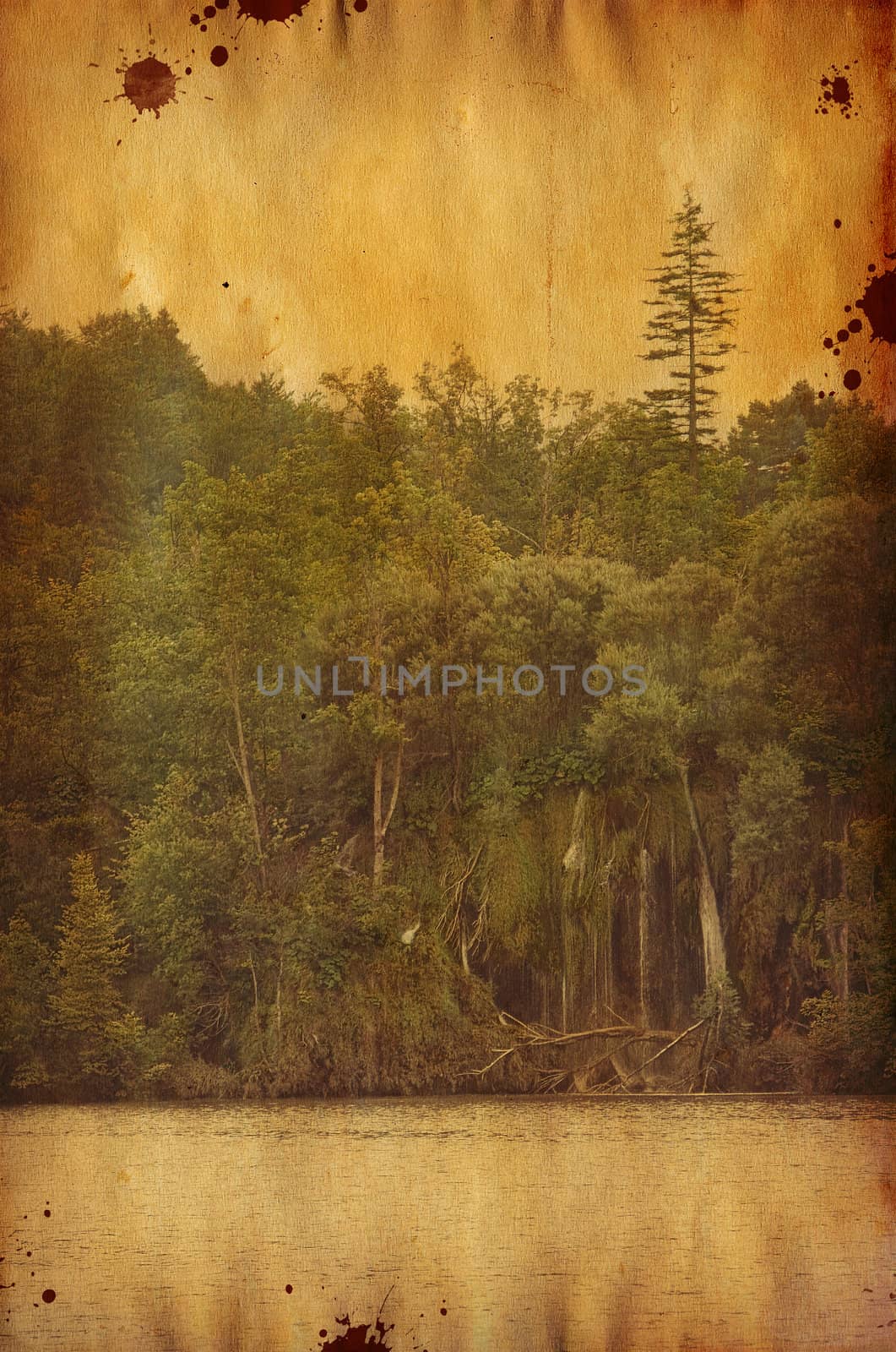 Grunge digital collage , vintage  landscape