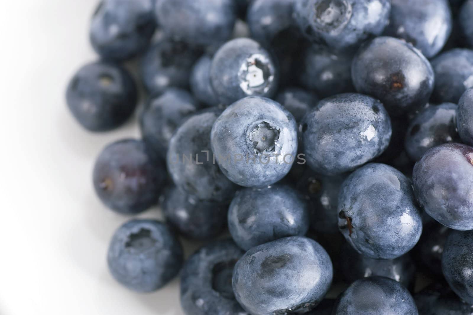 Close up of moist fresh blueberries on white plate